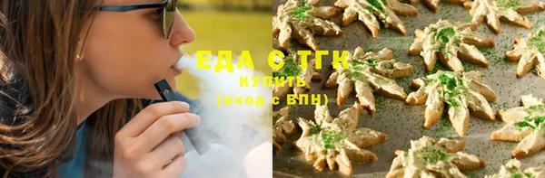 индика Покровск